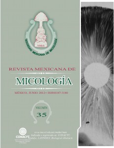 Portada de la revista