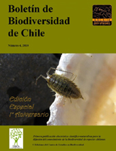 Portada de la revista