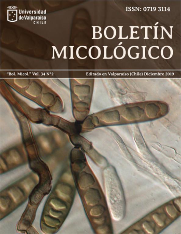 Portada de la revista