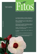 Portada de la revista