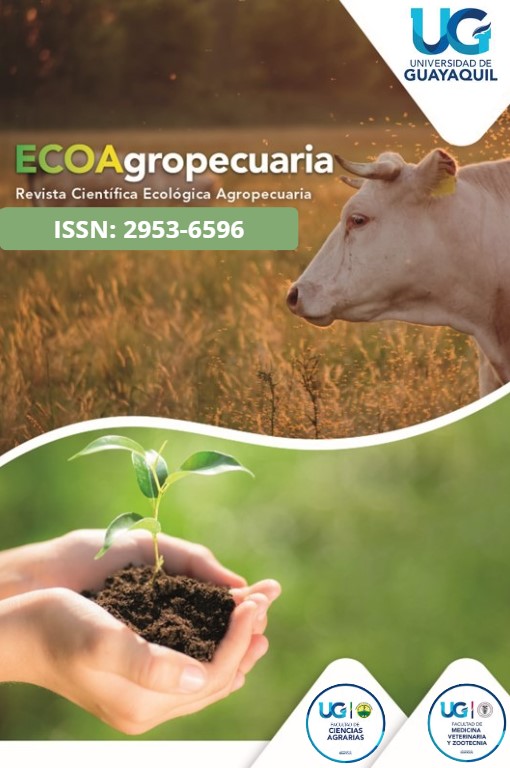 Portada de la revista